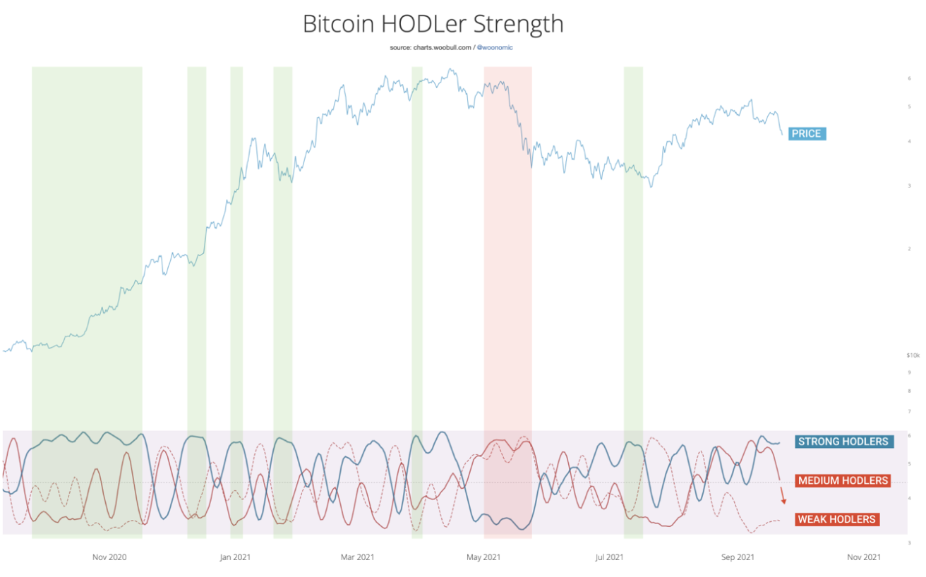 Bitcoin relative strength of the strong, medium and weak holders